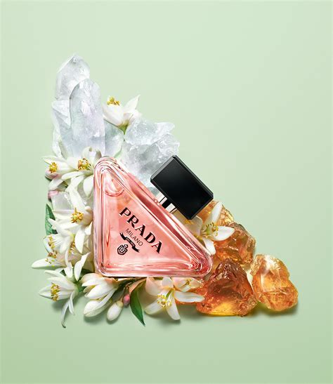 prada paradoxxe|prada paradoxe for women.